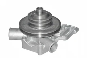 C115 DOLZ Pompe à eau