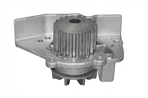 2.0 i CITROËN XM Pompa acqua Pompa acqua DOLZ