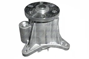 C139 DOLZ Pompa acqua