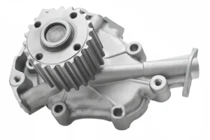 1.2 CHEVROLET AVEO T250, T255 Wasserpumpe Wasserpumpe DOLZ