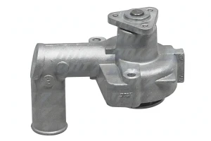 F105 DOLZ Wasserpumpe