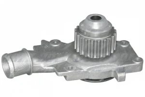 F127 DOLZ Pompe à eau