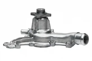 F136 DOLZ Pompa acqua