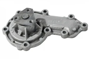 F140 DOLZ Pompe à eau