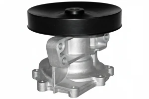 F200 DOLZ Pompa acqua