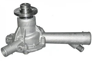 M202 DOLZ Pompa acqua