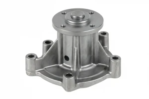 M213 DOLZ Pompa acqua