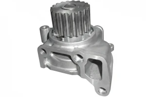 M244 DOLZ Pompa acqua
