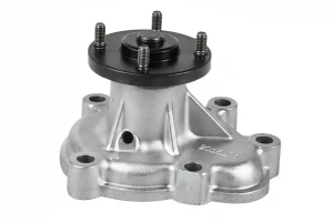 O131 DOLZ Pompa acqua