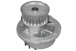 O136 DOLZ Pompa acqua