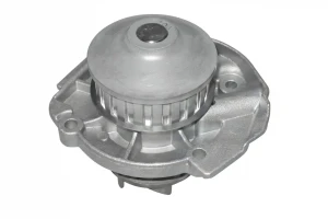 S161 DOLZ Pompa acqua