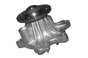T227 DOLZ Pompa acqua
