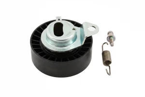 531 0657 20 INA Rullo tenditore cinghia distribuzione