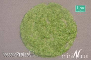 Silhouette 002-43 - Gras-Flock 2 mm Frühherbst 1000 g