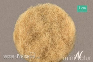 Silhouette 008-47 - Gras-Flock8mm Beige 1000g