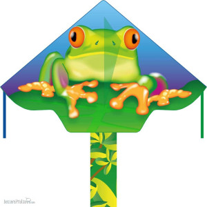 Ecoline 102160 - Simple Flyer Froggy - Kinderdrachen, ab 5 Jahren, 75x120cm, inkl. 17kp Polyester Schnüre, 25m