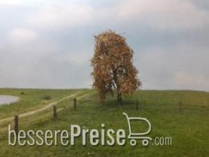Silhouette 240-64 - Trauerweide Spätherbst N/Z/TT 8cm 2 Stück