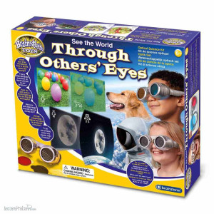 Brainstorm 362052 - Brainstorm: See The World Through Others Eyes