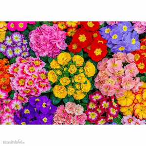 Wooden City 502259 - Wooden City: Wooden Puzzle Blooming Flowers L