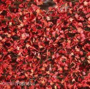 Silhouette 930-25G - Ahornlaub rot Spätherbst TT/H0/0 ca. 63x50 cm
