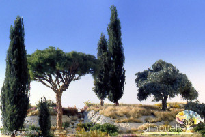 Silhouette 963-22G - Pinie Sommer TT/H0/0 ca. 63x50 cm
