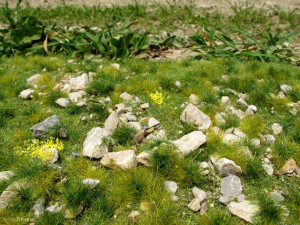 Model Scene F732 - Frühsommer, viele Steine