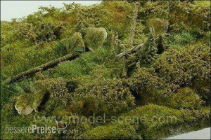 Model Scene F801 - Alter Windbruch