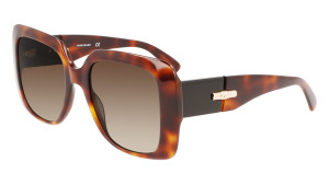 Longchamp Gafas de sol  LO713S Marrón Talla: 53X20   Marrón