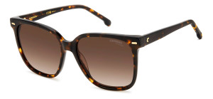 Gafas de sol  CARRERA 3002/S Marrón Talla: 55X16   Marrón