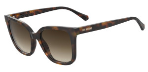 Gafas de sol Love Moschino MOL077/S Marrón Talla: 53X18   Marrón