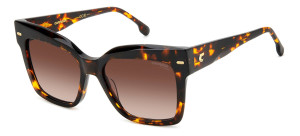 Gafas de sol  CARRERA 3037/S Marrón Talla: 54X17   Marrón