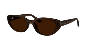 Rayban Gafas de sol  0RB4457D Marrón Talla: 55X19   Marrón