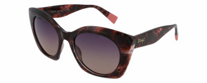 Mr.Wonderful Gafas de sol  MW29149593 MW29149 Marrón Talla: 53X21   Marrón