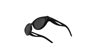 Arena Gafas de sol  SIRENA ASR Negro Talla: 52X17   Negro