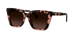 Ralph Lauren Gafas de sol  0RA5349U Marrón Talla: 53X17   Marrón