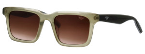 Mini Gafas de sol  746027 Verde Talla: 53X21   Verde