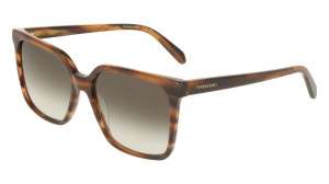 Gafas de sol Salvatore Ferragamo SF2102S Marrón Talla: 57X16   Marrón