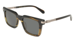 Gafas de sol Salvatore Ferragamo SF2103S Beige Talla: 53X21   Beige
