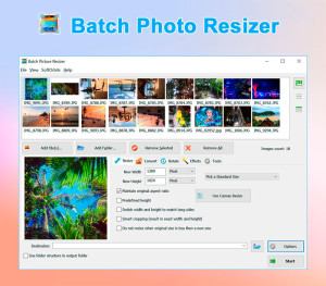Kinguin BatchPhoto Resizer PC CD Key