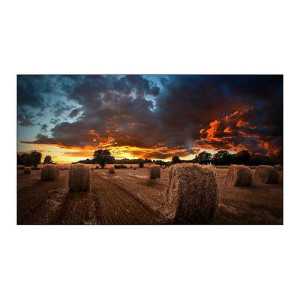 Samsung LH46VMBUBGBXEN pantalla mural de vídeo LCD Interior - 1357462