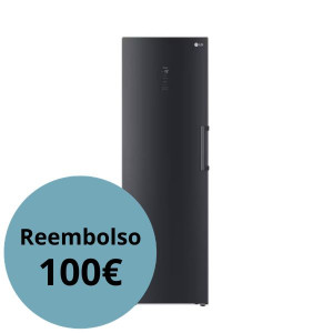 Arca Vertical LG GFM61MCCSF  Campanha LG Cashback 100EUR