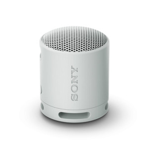 Sony SRSXB100H