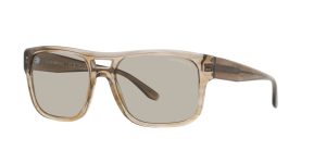 Giorgio Armani Óculos de sol Emporio Armani 0EA4197 Castanho Tamanho: 57X18   Castanho