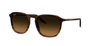 Rayban Óculos de sol Ray Ban 0RB2203 Castanho Tamanho: 55X20   Castanho