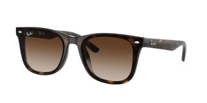 Rayban Óculos de sol Ray Ban 0RB4420 Castanho Tamanho: 65X18   Castanho