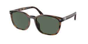 Óculos de sol Polo Ralph Lauren 0PH4208U Castanho Tamanho: 55X19   Castanho