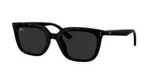 Rayban Óculos de sol Ray Ban 0RB4439D Castanho Tamanho: 54X21   Castanho