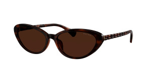 Óculos de sol Ralph Lauren 0RA5338U Castanho Tamanho: 56X16   Castanho