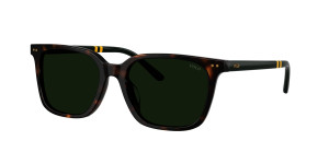 Óculos de sol Polo Ralph Lauren 0PH4235U Castanho Tamanho: 54X18   Castanho