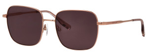 Óculos de sol Tom Tailor 675003 Dourados Tamanho: 54X17   Dourados